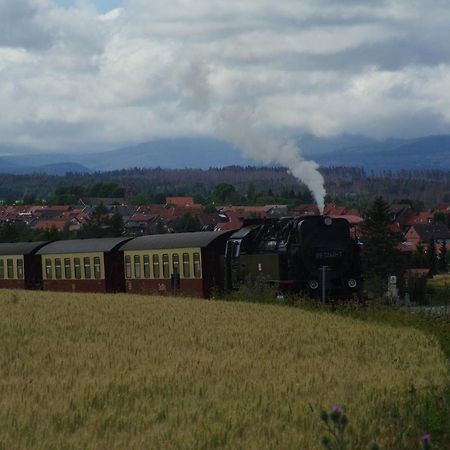 Ferienwohnung Schuur - Harz Hasselfelde Ngoại thất bức ảnh