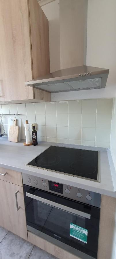 Ferienwohnung Schuur - Harz Hasselfelde Ngoại thất bức ảnh