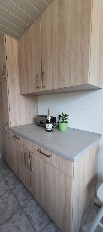 Ferienwohnung Schuur - Harz Hasselfelde Ngoại thất bức ảnh
