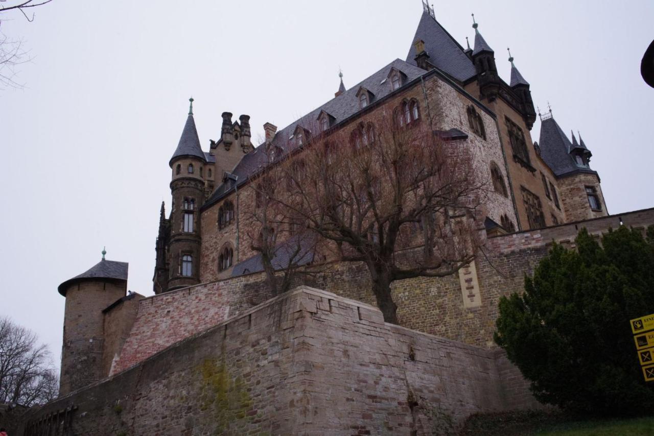 Ferienwohnung Schuur - Harz Hasselfelde Ngoại thất bức ảnh