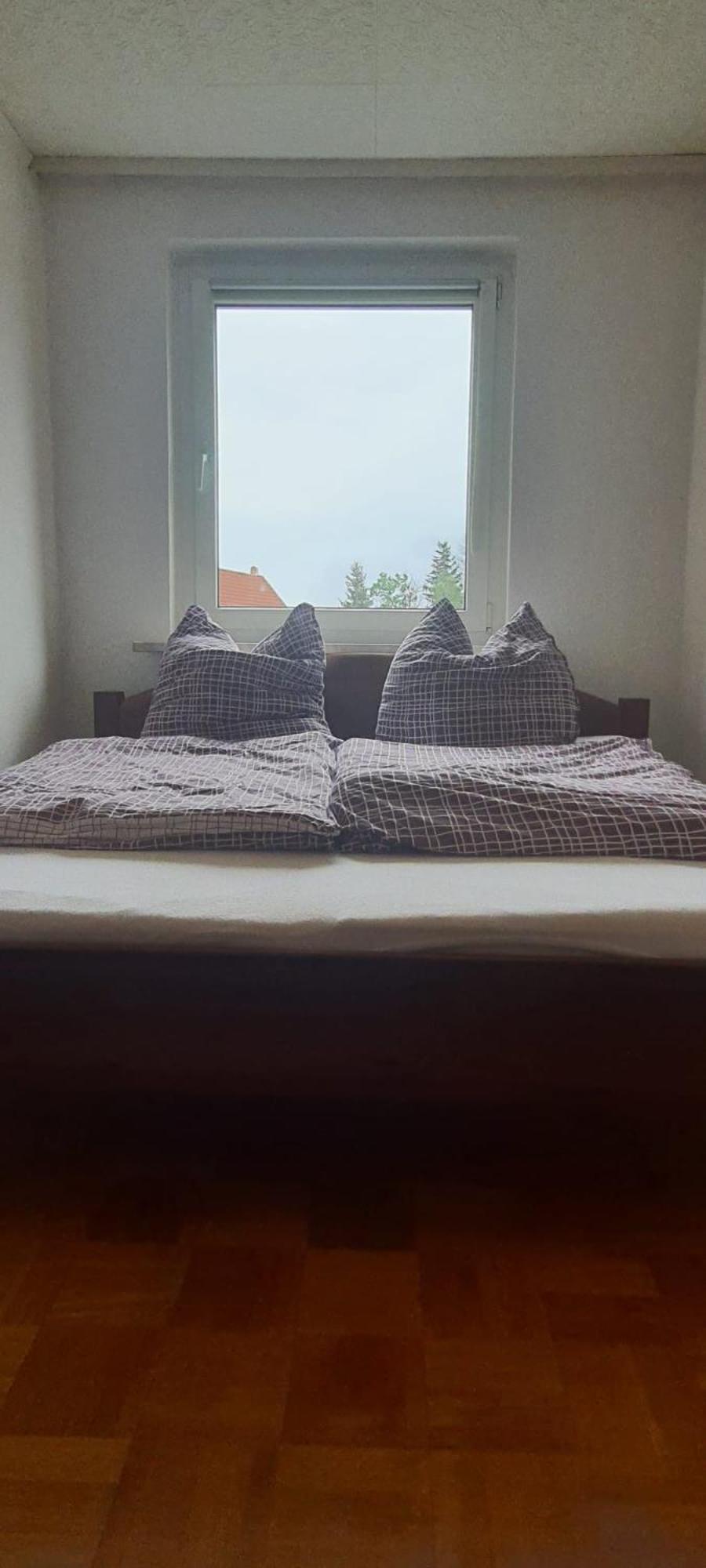 Ferienwohnung Schuur - Harz Hasselfelde Ngoại thất bức ảnh
