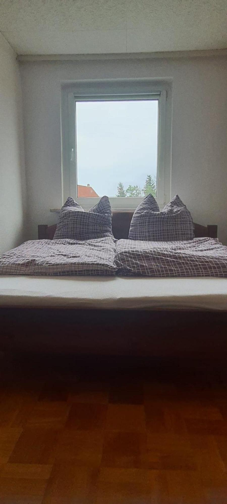 Ferienwohnung Schuur - Harz Hasselfelde Ngoại thất bức ảnh